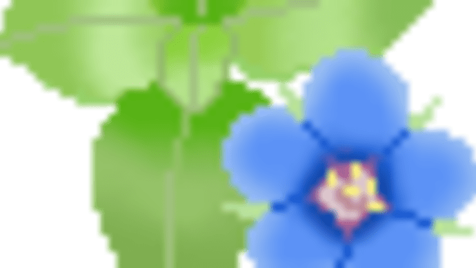 鳴門柑