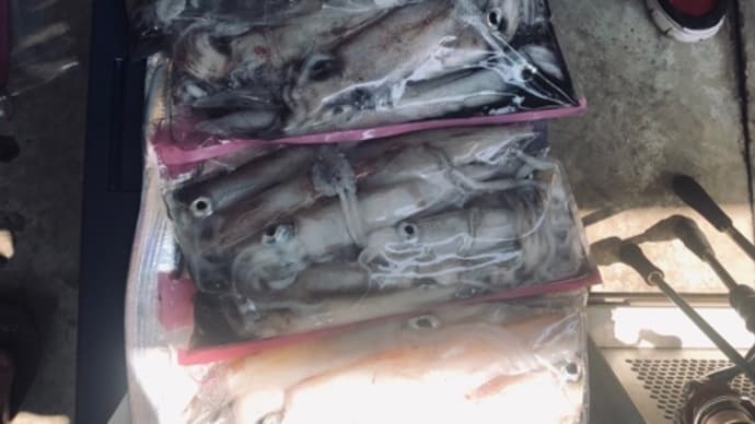 連投イカメタル釣行・・
