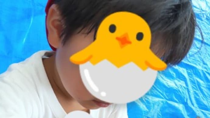 【4歳4ヶ月と30日目】土日はお祭り、久々読書