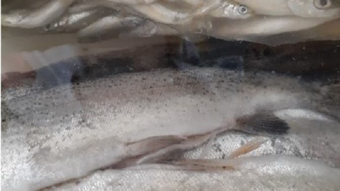 甘露煮・・・ マス/ワカサギ
