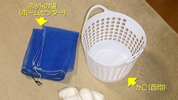 【オレオとクッキーのクンクンチェック!! ホタルイカ掬いの道具を作りましたが、出番なし(^^ゞ】