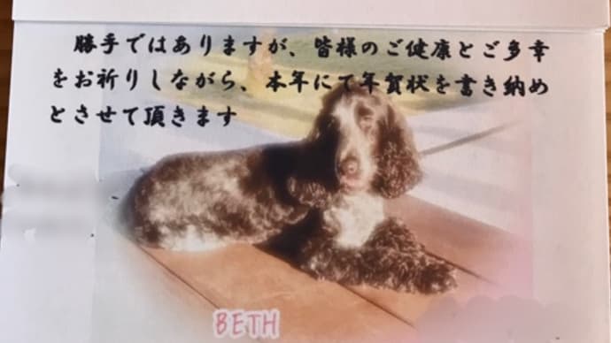 年賀状を片付ける・・・お年玉付きの当選番号も今年は確認