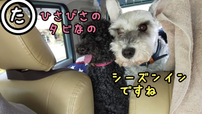 楽しいね旅の季節がやってきた