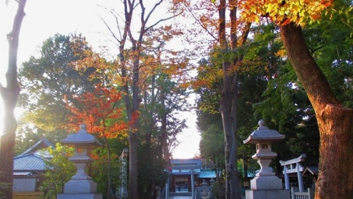 旧上荻窪村の鎮守&地元の八幡様「荻窪八幡神社」
