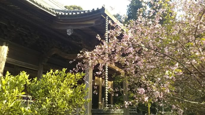 鎌倉殿に再びハマる