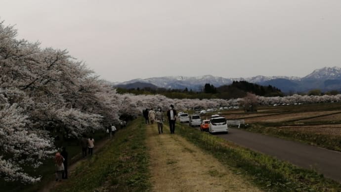 正しく花より団子