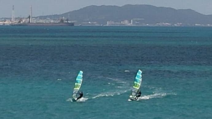 Surfer Discoでディスコナイト！沖縄海中道路最高の東風　ウイングフォイル　F1　8.0テストライド　ワクチン抗体上昇は意味がなかった　