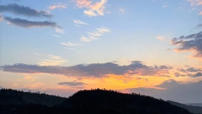 お年頃です