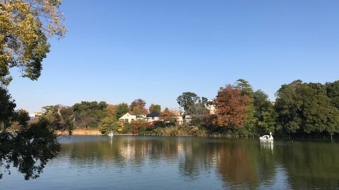 紅葉の洗足池公園2023と先月の洗足池公園