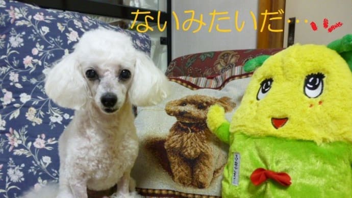 今日はひまわりの日…"\( ̄^ ̄)゙ハイ!! そして精霊馬は東日本だけ?