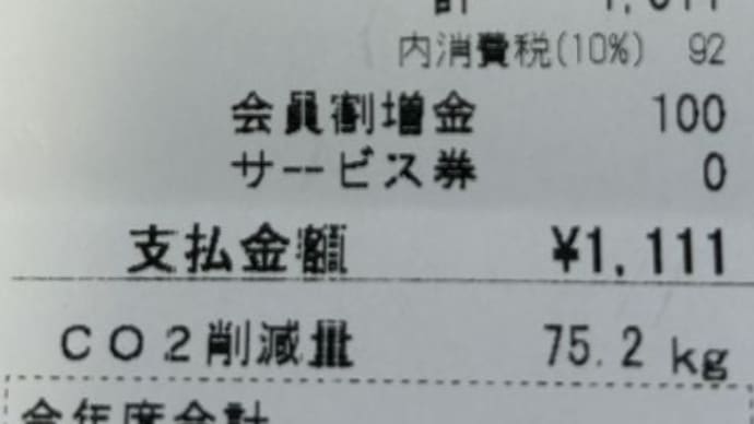 恒例のゴミ処分