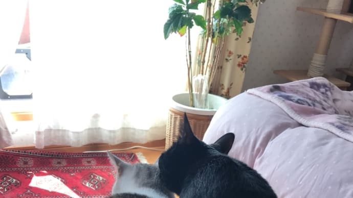 長い午前中