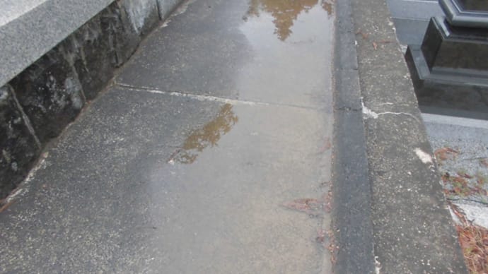 春の雨助かる人もをりにけり