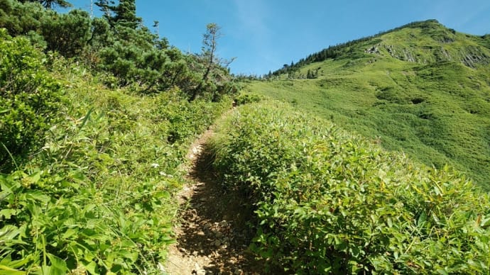 岩菅山登山 (志賀高原)