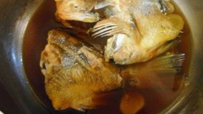本日の医食同源