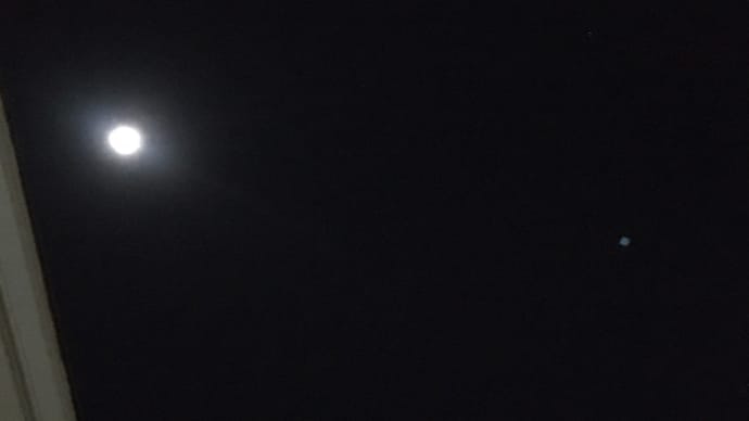 月を眺めてみませんか？今年最後の満月ですよ。