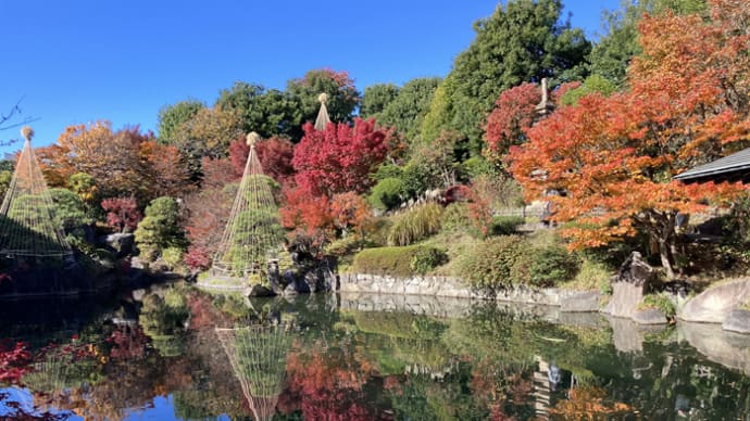 目白庭園 錦秋と水鏡
