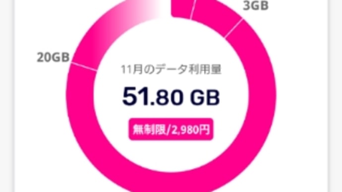 11月の通信量と迷惑SMSについて