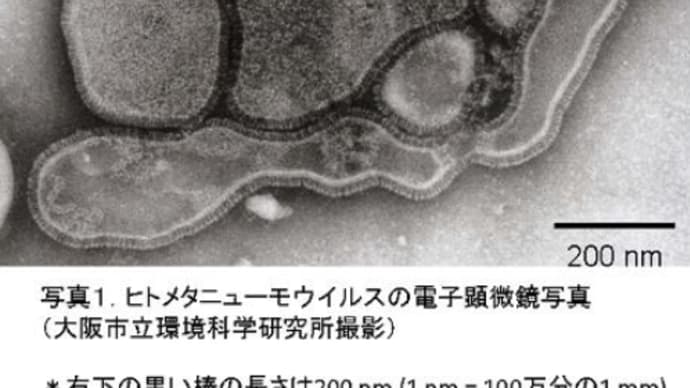 「90億人移動」で拡大懸念