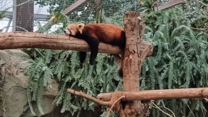 月曜日の動物園は