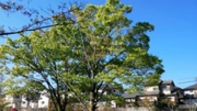 快晴の今日