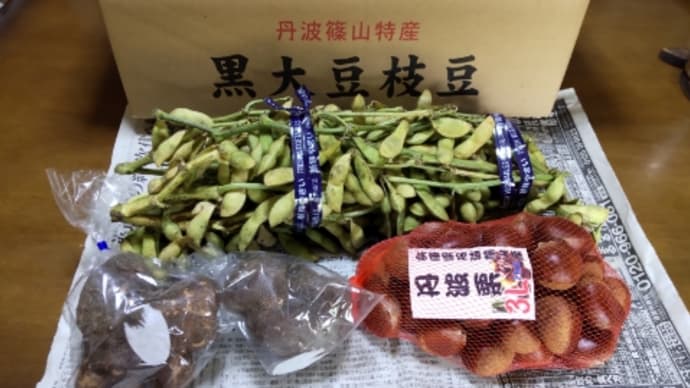 丹波篠山特産黒枝豆、丹波栗、山の芋が届いた