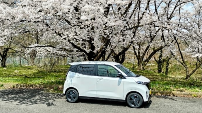 満開の桜とともにSAKURAがやって来た!