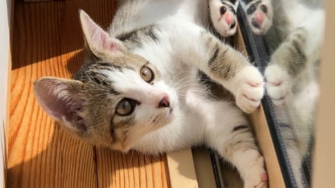 仕事 再開します