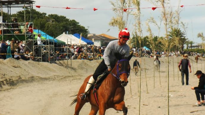 相良草競馬 (牧の原市相良海岸)