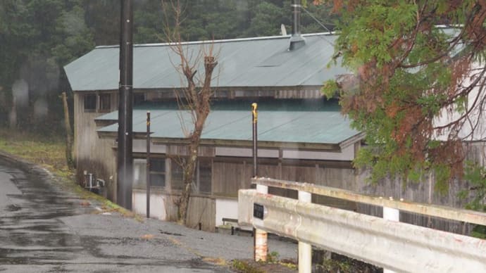 暮れの雨、のんびりやってくれ!