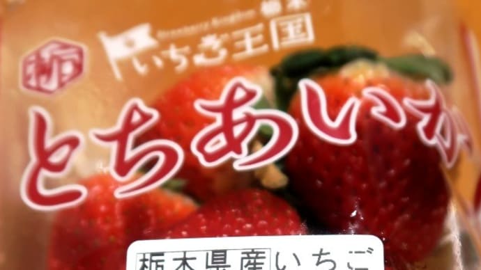 栃木のいちご「とちあいか」を初めて食べてみた