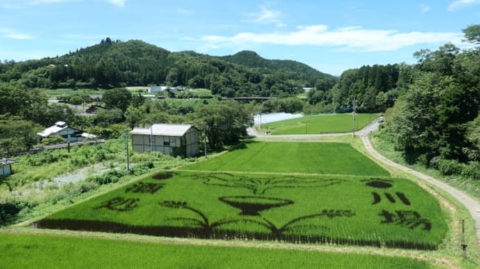 川場村たんぼアート2024