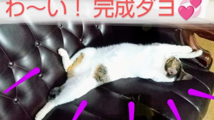 こまちィーな&フクエール&オムディオ作品完成だあ❗️