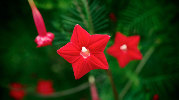 ❶木曽川を眺めながら歩き、歴史と文化を楽しもう