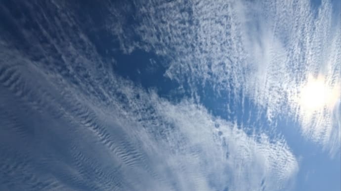 今日はフリーデー