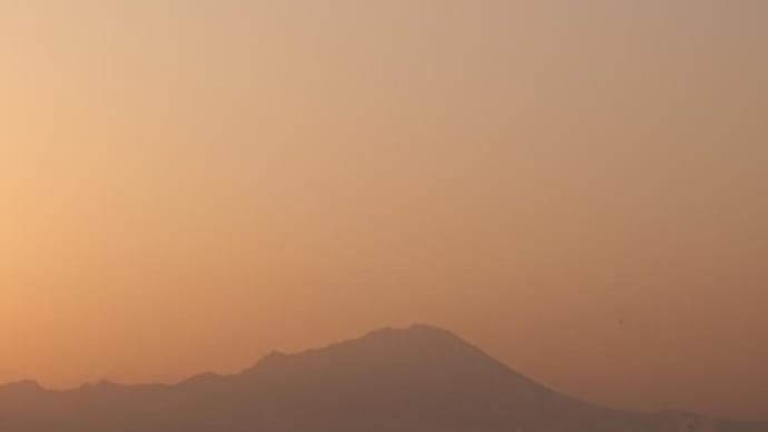 今朝の大山さん 3月11日