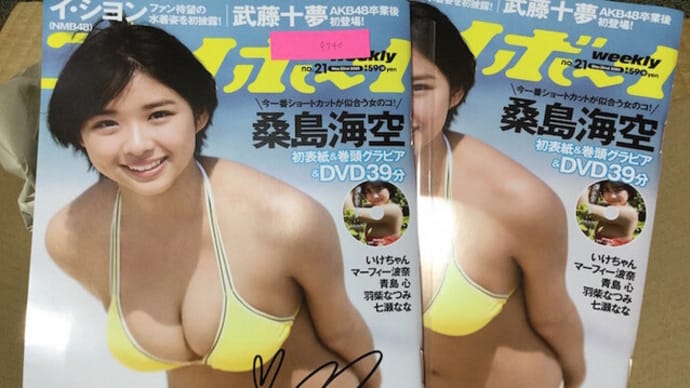 冷蔵庫の週刊プレイボーイ。