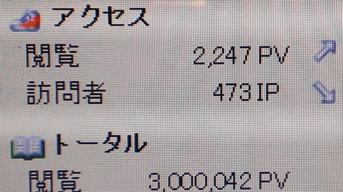 勝手に祝♪ 300万アクセス♪