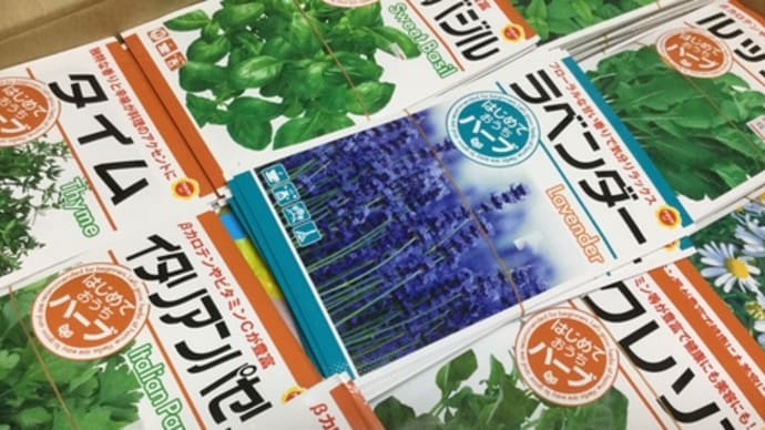 【おうち時間】種のパッケージ新しく…気分転換に…【#はじめておうちハーブ】