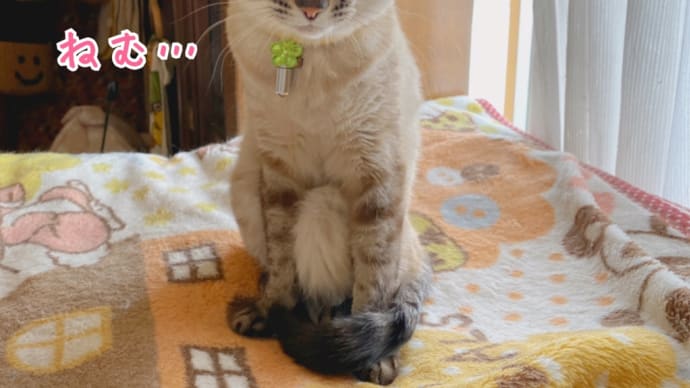 すぺしゃりすとだにゃん!