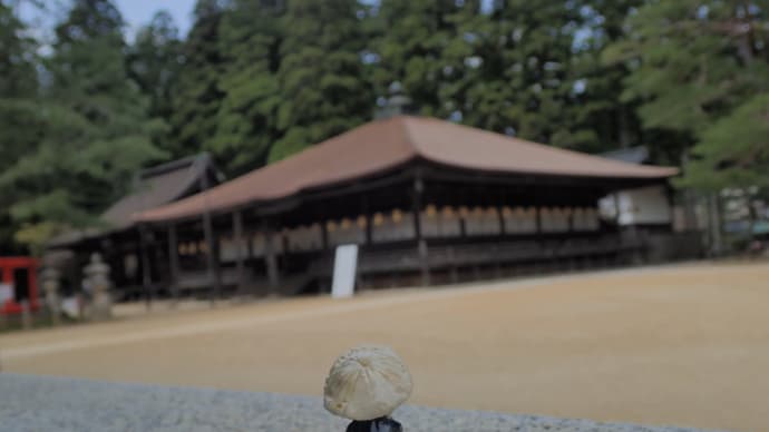 歩き遍路 高野山 2巡目 2023 高野山① 沢山の経験をしました♪