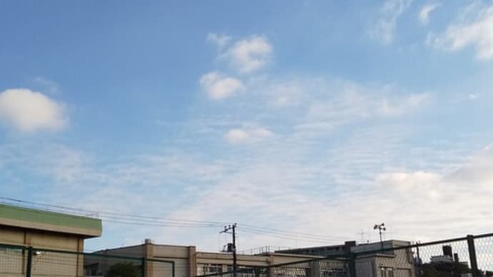 久しぶりの見次公園とちょっと毒を吐きます