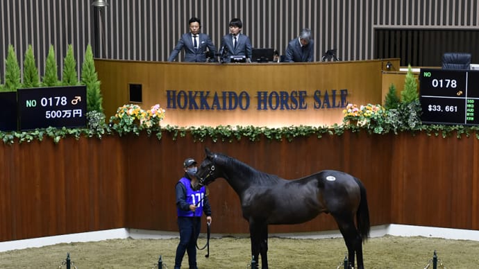 オータムセール出身馬【フジユージーン(Fuji Eugene)】が「楠賞(3歳重賞)」を優勝