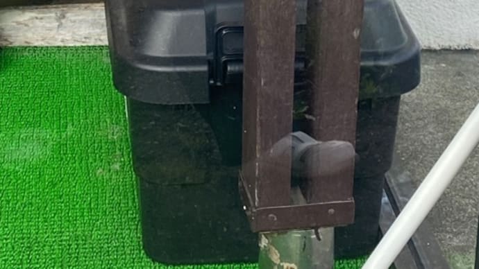 日向ぼっこ