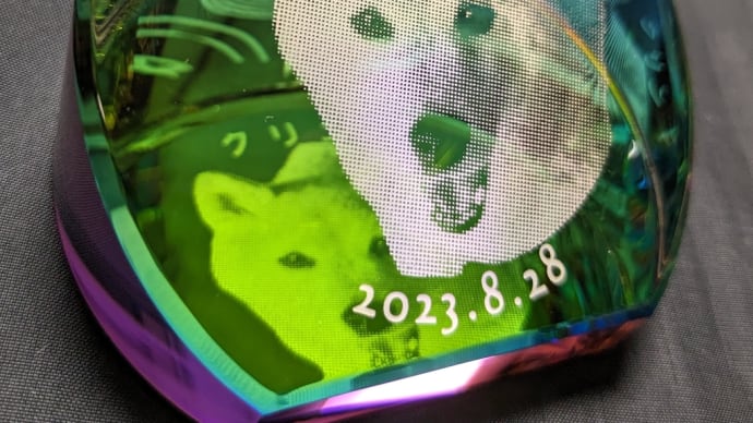 クリンが旅立って8日目・・
