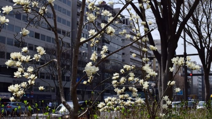 久しぶりに街なかへ出たら暑かった