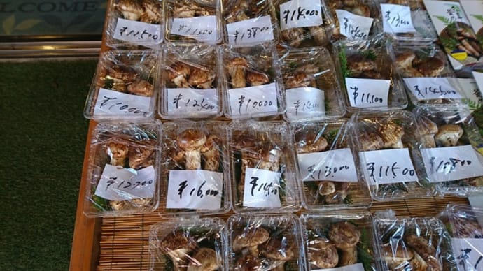 2021年松茸料理