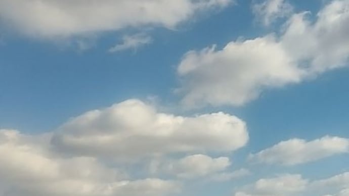 (五島弁)よかろがや