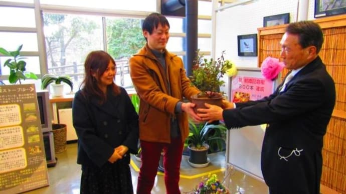 結婚記念樹配付300本セレモニー・・・
