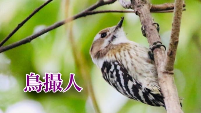 奥三河にて